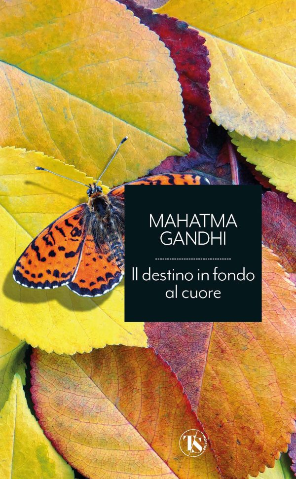 Il destino in fondo al cuore - Mohandas Karamachand Gandhi
